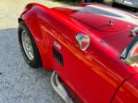 AC Cobra 427 - <small></small> 114.990 € <small>TTC</small> - #14