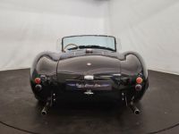 AC Cobra AC - <small></small> 85.000 € <small>TTC</small> - #12