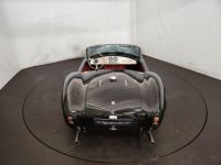 AC Cobra AC - <small></small> 85.000 € <small>TTC</small> - #13