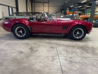 AC Cobra REPLICA REPLICA CLASSIC ROADSTERS - <small></small> 98.000 € <small>TTC</small> - #11