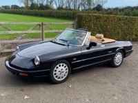 Alfa Romeo Spider - <small></small> 23.500 € <small>TTC</small> - #1