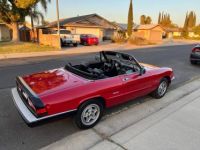 Alfa Romeo Spider - <small></small> 19.000 € <small>TTC</small> - #11