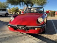 Alfa Romeo Spider - <small></small> 19.800 € <small>TTC</small> - #1