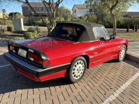 Alfa Romeo Spider - <small></small> 19.800 € <small>TTC</small> - #6