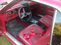 AMC AMX - <small></small> 41.000 € <small>TTC</small> - #11