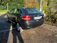 Audi A3 8P1 1.9 TDI (105Ch) - <small></small> 7.500 € <small>TTC</small> - #11