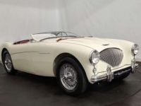 Austin Healey 100 / 4 BN2 kit Le Mans - <small></small> 115.000 € <small>TTC</small> - #1