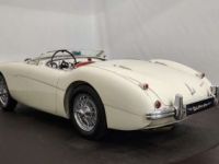 Austin Healey 100 / 4 BN2 kit Le Mans - <small></small> 115.000 € <small>TTC</small> - #2