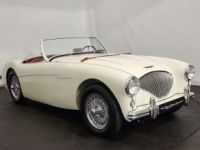 Austin Healey 100 / 4 BN2 kit Le Mans - <small></small> 115.000 € <small>TTC</small> - #3