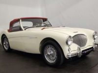 Austin Healey 100 / 4 BN2 kit Le Mans - <small></small> 115.000 € <small>TTC</small> - #5