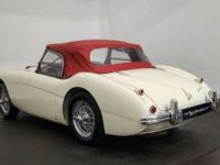 Austin Healey 100 / 4 BN2 kit Le Mans - <small></small> 115.000 € <small>TTC</small> - #6