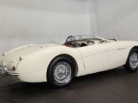 Austin Healey 100 / 4 BN2 kit Le Mans - <small></small> 115.000 € <small>TTC</small> - #8