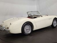 Austin Healey 100 / 4 BN2 kit Le Mans - <small></small> 115.000 € <small>TTC</small> - #10