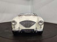 Austin Healey 100 / 4 BN2 kit Le Mans - <small></small> 115.000 € <small>TTC</small> - #13