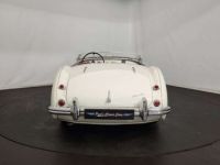 Austin Healey 100 / 4 BN2 kit Le Mans - <small></small> 115.000 € <small>TTC</small> - #14