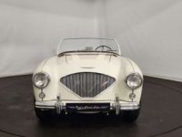 Austin Healey 100 / 4 BN2 kit Le Mans - <small></small> 115.000 € <small>TTC</small> - #15