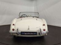 Austin Healey 100 / 4 BN2 kit Le Mans - <small></small> 115.000 € <small>TTC</small> - #16