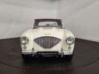 Austin Healey 100 / 4 BN2 kit Le Mans - <small></small> 115.000 € <small>TTC</small> - #17