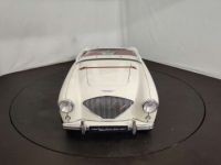 Austin Healey 100 / 4 BN2 kit Le Mans - <small></small> 115.000 € <small>TTC</small> - #19