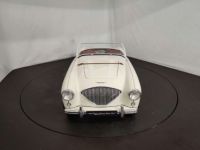 Austin Healey 100 / 4 BN2 kit Le Mans - <small></small> 115.000 € <small>TTC</small> - #21