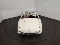 Austin Healey 100 / 4 BN2 kit Le Mans - <small></small> 115.000 € <small>TTC</small> - #22