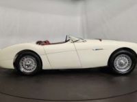 Austin Healey 100 / 4 BN2 kit Le Mans - <small></small> 115.000 € <small>TTC</small> - #27