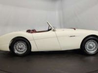 Austin Healey 100 / 4 BN2 kit Le Mans - <small></small> 115.000 € <small>TTC</small> - #28