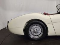 Austin Healey 100 / 4 BN2 kit Le Mans - <small></small> 115.000 € <small>TTC</small> - #29