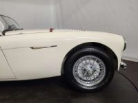 Austin Healey 100 / 4 BN2 kit Le Mans - <small></small> 115.000 € <small>TTC</small> - #31