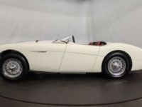 Austin Healey 100 / 4 BN2 kit Le Mans - <small></small> 115.000 € <small>TTC</small> - #33