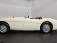 Austin Healey 100 / 4 BN2 kit Le Mans - <small></small> 115.000 € <small>TTC</small> - #34