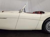 Austin Healey 100 / 4 BN2 kit Le Mans - <small></small> 115.000 € <small>TTC</small> - #36