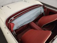 Austin Healey 100 / 4 BN2 kit Le Mans - <small></small> 115.000 € <small>TTC</small> - #55