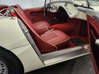 Austin Healey 100 / 4 BN2 kit Le Mans - <small></small> 115.000 € <small>TTC</small> - #57