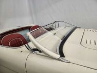 Austin Healey 100 / 4 BN2 kit Le Mans - <small></small> 115.000 € <small>TTC</small> - #60