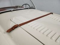 Austin Healey 100 / 4 BN2 kit Le Mans - <small></small> 115.000 € <small>TTC</small> - #67