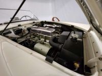 Austin Healey 100 / 4 BN2 kit Le Mans - <small></small> 115.000 € <small>TTC</small> - #74