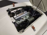 Austin Healey 100 / 4 BN2 kit Le Mans - <small></small> 115.000 € <small>TTC</small> - #76