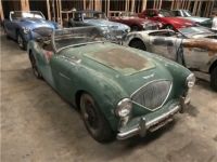 Austin Healey 100 100-4  - <small></small> 27.000 € <small>TTC</small> - #1