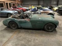 Austin Healey 100 100-4  - <small></small> 27.000 € <small>TTC</small> - #2