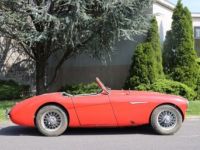 Austin Healey 100 100-4  - <small></small> 37.700 € <small>TTC</small> - #3