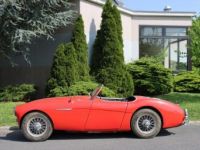 Austin Healey 100 100-4  - <small></small> 37.700 € <small>TTC</small> - #4