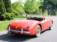 Austin Healey 100 100-4  - <small></small> 37.700 € <small>TTC</small> - #5