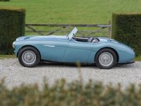 Austin Healey 100 100/4 - Restored - <small></small> 79.800 € <small>TTC</small> - #3