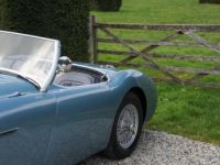 Austin Healey 100 100/4 - Restored - <small></small> 79.800 € <small>TTC</small> - #8