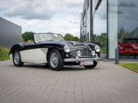 Austin Healey 100 100/6 - <small></small> 47.500 € <small>TTC</small> - #1