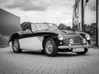 Austin Healey 100 100/6 - <small></small> 47.500 € <small>TTC</small> - #2