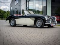 Austin Healey 100 100/6 - <small></small> 47.500 € <small>TTC</small> - #4