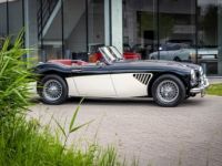 Austin Healey 100 100/6 - <small></small> 47.500 € <small>TTC</small> - #5