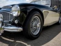 Austin Healey 100 100/6 - <small></small> 47.500 € <small>TTC</small> - #6